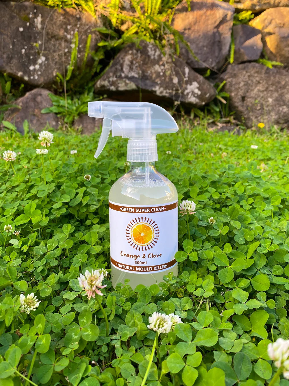 Orange and Clove Mould Killer 500ml